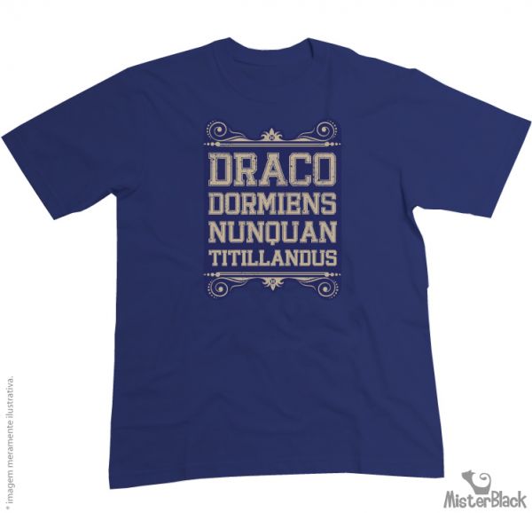 Harry Potter - "Draco Dormiens Nunquan Titillandus"